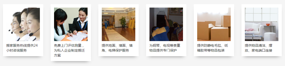 专业专注 全心服务